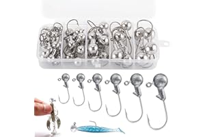 JINGYOU 60Pcs Fishing Jig Heads with Fishing Tackle Box, Fish Head Hook Fishing Jigs Baitholder Hook Saltwater Freshwater Swimbait Jigs with Barb for Pike Predator Bass Trout(1g 2g 3.5g 5g 7g 10g)
