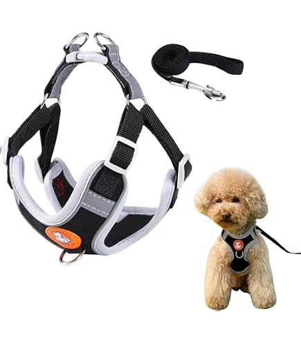 Harnais Pour Petit Chien Réfléchissant Avec Laisse - Design Step-In, Ajustable Et Respirant - Parfait Pour Promenades Et Entraînement
