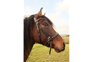 PS Pferdeartikel Weiche Gebisslose Zäumung - Trense anatomisch Tilia