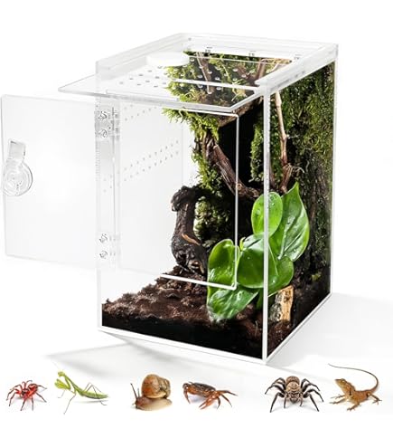 Wandschap transparant 30x30 cm glas - Kantoormeubelen Plus