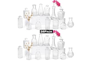 TEMPFOO Centrotavola Moderno Design Matrimonio Vaso Decorativo set di 26 da Interno Fiori Vasetti Vetro Decorativi Trasparente Mini Vasi Soprammobili Cristallo per Centro Tavola Balcone Accessori