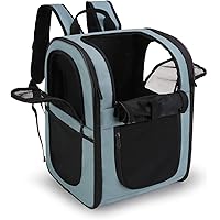 puppy carrying backpack