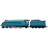 Hornby Gauge RailRoad LNER BR Mallard Class A4 Locomotive