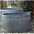 Bowley & Jackson Vintage style oval shaped galvanised dolly planter