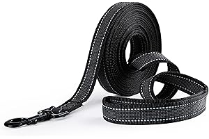 Toozey Longe pour Chien Petits à Grands et Moyens avec Caoutchoucs Antidérapants et Bandes Réfléchissantes, 5m 10m 15m 20m Laisse de Longue Dressage en Nylon Douce et Résistante, 5m x 2,5cm