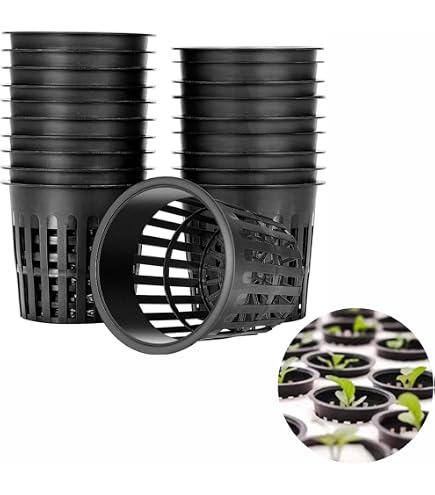 Mumusuki Heavy Duty Hydroponic Planting Mesh Pot Net Cestino di plastica per piante da giardino Crescere Tazza per piante Clone Giardino Utilizzare 10 pezzi (nero