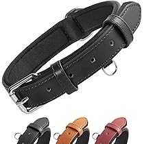 SLA179 Collare Regolabile Per Cani E Gatti, In Nylon Nero, Larghezza 10 Mm, Lunghezza 20-35 Cm, Taglia XS - 2