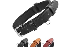 Grand Line Collar de Perro de Cuero, Collare Ancho y Grueso con Suave Acolchado，Collare de Perro en Piel Ajustables Resistentes para Perros Pequeños, Medianos, Grandes (Negro, M)