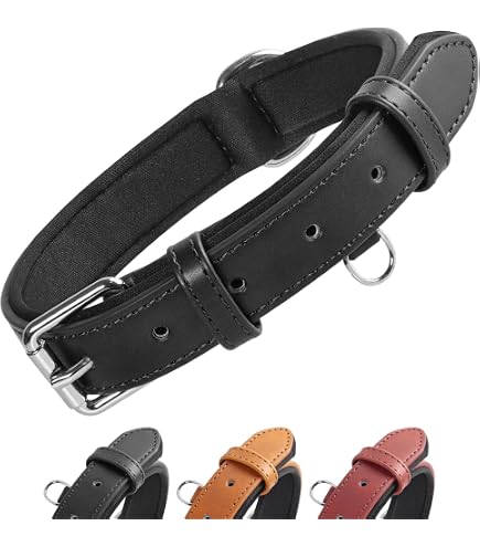 Gusti Leder Hundehalsband Jacky Braun Größe M – Elegantes Lederhalsband Für Hunde Mit Goldenen Schnallen