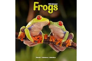 Frogs Calendar 2024 | Square Animal Wall Calendar - 16 Month