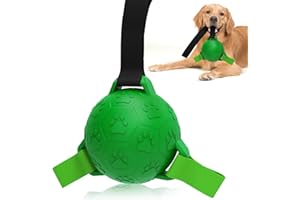 TASDISE Balls da cane in gomma interattiva, giocattoli da calcio per cani palline da bingoie, giocattoli a pallone da calcio interattivi durevoli per l'allenamento e l'esercizio fisico per i cani