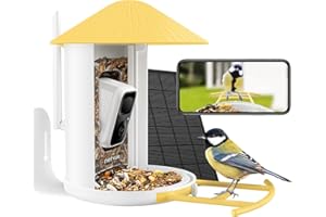 Netvue by Birdfy Mangiatoia per Uccelli con Videocamera,Telecamera per Il Birdwatching con Batteria & Solare, Acquisizione e Registrazione Auto di Uccelli Video, Casetta per Uccellini da Esterno