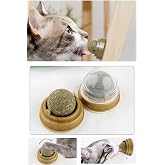 TİNEKE Catnipli Yenilebilir Kedi Nanesi Otu Yalama Oyun Topu Oyuncağı
