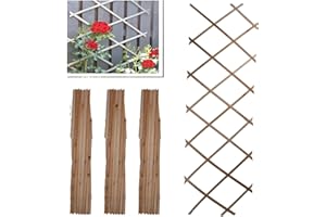 PRADICHI Wooden Expandable Pack of 3 Trellis for Climbing Plants – Garden Wall Trellis Fence Panels for Outdoor & Indoor Decoration, Partition & Plant Support (Nature, 180cm x 30cm (3 Pack))