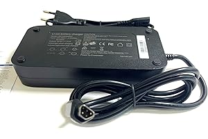 Enerpower Caricatore 54,6 V, 2 A, 110 Watt, trapezio a 5 pin, per bici elettriche Fischer con batteria Joycube SF-06S/RC1701-48 V