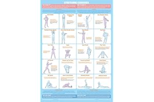 CHARTEX Exercise Poster Stretching Warm Up Cool Down Chart (A1 Laminated)
