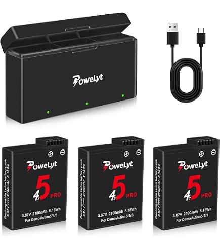 Kit Batteries Vemico 1800mAh Et Chargeur Pour DJI Osmo Action 4/3 - Double Port USB-C