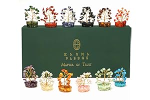 KARMAPLEDGE Handcrafted Healing Crystals Tree, Bonsai Tree for Positive Energy, Feng Shui Tree of Life, Home Decor/Office Decor, Spiritual Gift by Karma Pledge (Set of 12 Trees orgone Base)