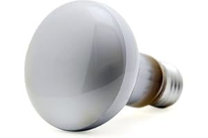 SEL 10 x 60WATT R63 PEARL REFLECTOR LAMP BULB ES SPOTLIGHT SCREW CAP