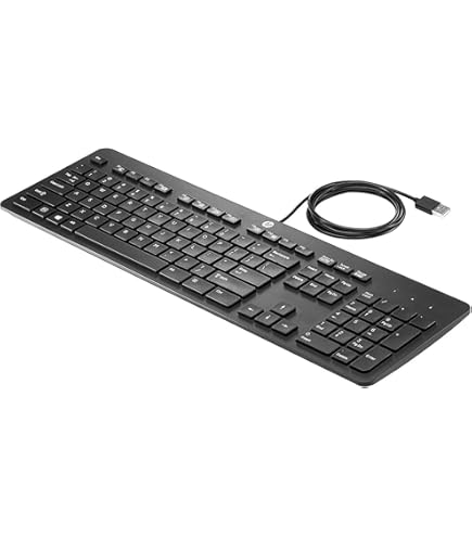 HP Tastatur KB-0316 Schwarz/silber | PS/2 Anschluss, Englisch/internationales Layout