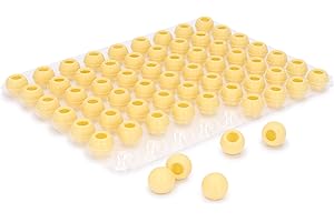 Pati-Versand Hohlkugeln Weiß | 1 Folie Pralinen-Kugeln zum Befüllen | je 63 Stück