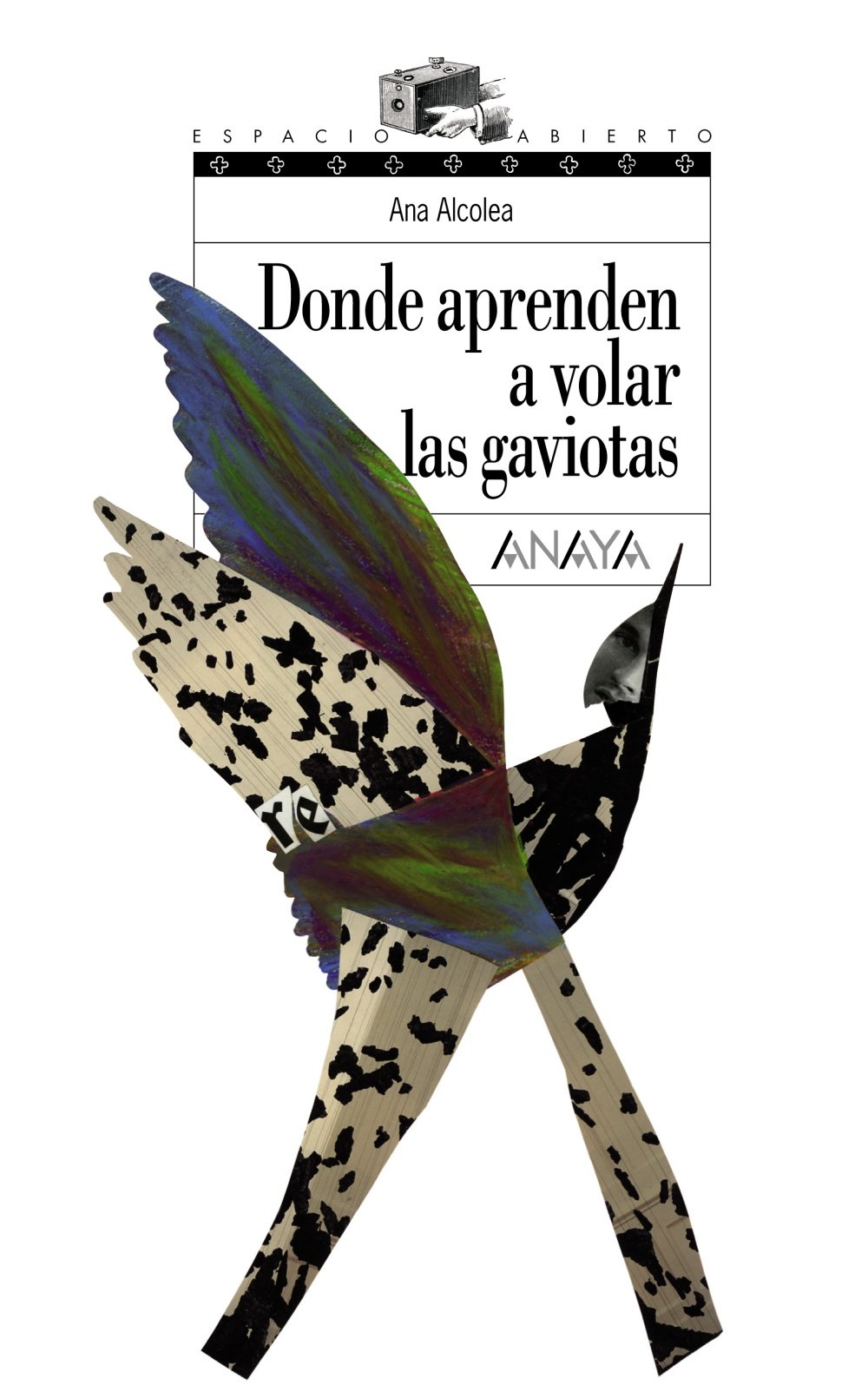 Donde aprenden a volar las gaviotas - Espacio Abierto)