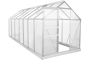 Zelsius Aluminium Gewächshaus für den Garten | inklusive Fundament | 430 x 190 cm | 6 mm Platten | Vielseitig nutzbar als Treibhaus, Tomatenhaus, Frühbeet und Pflanzenhaus