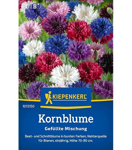 550 Stck primeln samen primel pflanzen saatgut Primula auricula - Seltene  Pflanze serie - blumensamen mischung schmetterlingsflieder pflanzen deko  gartenarbeit zimmerpflanze : Amazon.de: Garten