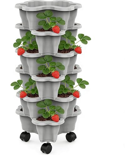 ORTO, COME COLTIVARE LE FRAGOLE IN PROVETTA: ECCO LA TECNICA SUPER