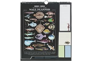 GUPO ERIK Grupo Erik Fishes By Charles Dessalines Wall Calendar 2024 | Monthly Planner 16 Months Sep 2023 - Dec 2024 | 11.8 x 13.4 inches / 30 x 34 cm | Cute Stationery | With Stickers/Pen/Shopping List