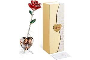 Mikasol Gold Getaucht 24K FüR Immer Bewahrte Rose, Flower Decor Hand Eingetaucht Romantisches Geschenk FüR Frauen In Ihre Frau Freundin GeburtstagsjubiläUm Valentines Muttertag Weihnachten (Rot)
