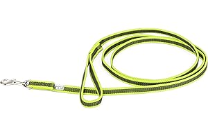 JULIUS-K9 Correa IDC Color & Gray con asa, 14 mm x 2 m, Neón-Gris