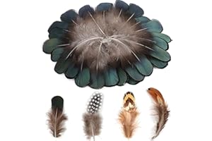 MWOOT 200 Pieces DIY Crafts Feathers 4 Assorted Chicken Feathers for Dream Catcher Halloween Party Mask Decoration, Green Black Yellow Brown Decor Feather