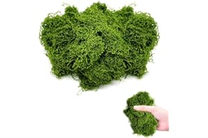 Ceihwa 100g Muschio Stabilizzato per Presepe Naturale Muschio Finto per Decorazioni Lichene Stabilizzato Pannelli Licheni Stabilizzati Moss Muschio Artificiale Decorativo Islandese Muschio-Scuro