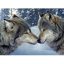 5D Diamantmalerei 'Wolf' – DIY Set Für Erwachsene, Rundes Full-Drill-Design, 30x30 Cm, Mit Zubehör