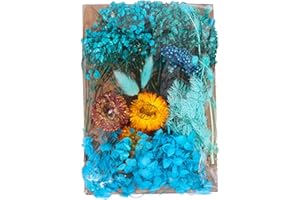 Ryaupy Fiori secchi Blu - Set Piccoli Fiori secchi - per lavori Fai tein Resina epossidica, Candele, Cartoline, Album di Ritagli e Decorazioni per Matrimoni (6-7 Tipi Casuali)