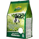 Quedlinburger 104996 Kleintierrasen 1 kg (Rasensamen)
