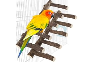 LZMDISU 2Pcs Parrot Wood Stand for Cage, 12.2Inch Length Parrot Perch, Natural Bird Ladder for Small Medium Parrots, Conures, Hamster, Parakeets, Cockatiels