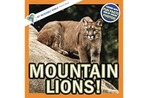 Mountain Lions!: A My Incredible World Picture Book for Children (My Incredible World: Nature and Animal Picture Books for Children)