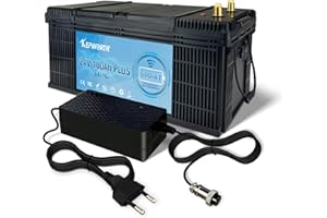 FLLEEYPOWER KEPWORTH Akumulator litowo-żelazowo-fosforanowy 24V 100Ah Bluetooth z wbudowanym 100A BMS i ponad 8000 głębokich cykli jest idealny do magazynowania energii słonecznej, biwakowania i kamperowania.