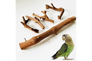Allazone Sitzstangen Vögel, Papageien Sitzstangen aus Naturholz, Naturholz Sitzstangen Mehrfach Gegabelter Traubenzweig für Vogelkäfige, Vogelschleifklauen Klettern Stehend Vogelkäfig Zubehör