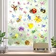 WandSticker4U®- XXL Stickers fenêtre printemps OISEAUX sur BRANCHES Électrostatiques (140x60 cm WandSticker4U®- XXL Stickers fenêtre printemps OISEAUX sur BRANCHES Électrostatiques (140x60 cm