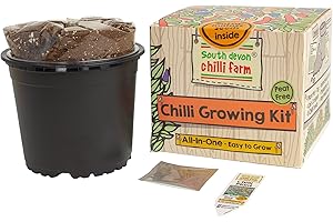 South Devon Chilli Farm | Indoor Chilli Growing Kit from The Chilli Experts – Grow Your Own Chilli Seeds – Grow Your Favourite Chillis