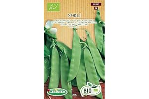 Germisem Orgánica Norli Semillas de Guisantes de Azúcar 80 g