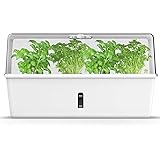 Munroomy Mini Gewächshaus als Anzucht Set | ideal zur Anzucht von Kräutern & Pflanzen | Indoor Kräutergarten für die Fensterb