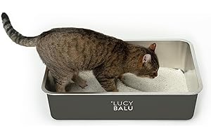 LucyBalu® STEELOO Litière hygiénique pour chat | Maison de toilette pour chat | Ouverture sur le dessus pour un accès facile | Litière moderne sans couvercle | Bassine en acier inoxydable | Anthracite