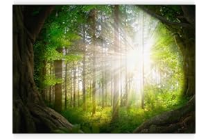 murando Carta da parati Foresta 350x256 cm Fotomurali in TNT Murale alla moda Decorazione da Muro XXL Poster Gigante Design Carta per Pareti Soggiorno Paesaggio Natura Raggio di sole b-A-10119-a-a