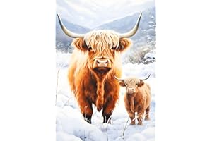 AIRDEA 5D Highland Cow Diamond Art Painting Kits, Cow Snow DIY Full Drill Crystal Rhinestone Painting Art Kits, Embroidery Painting Art Picture Crafts for Home Wall Decor 30x40cm