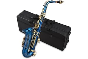YIWENG Sax in ottone inciso,Ottone inciso Mib Mi bemolle Sassofono contralto Sax Abalone Bottoni in conchiglia Strumento a fiato con custodia Guanti Panno per pulizia Spazzola per cintura