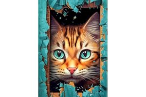 QENSPE Chat Peinture Diamant Adulte 5D Diamond Painting Chat Diamant Art Kit Enfants Complet, Maison Diamant Strass Point de Croix Cristal Painting pour Murale Décoration 30x40cm